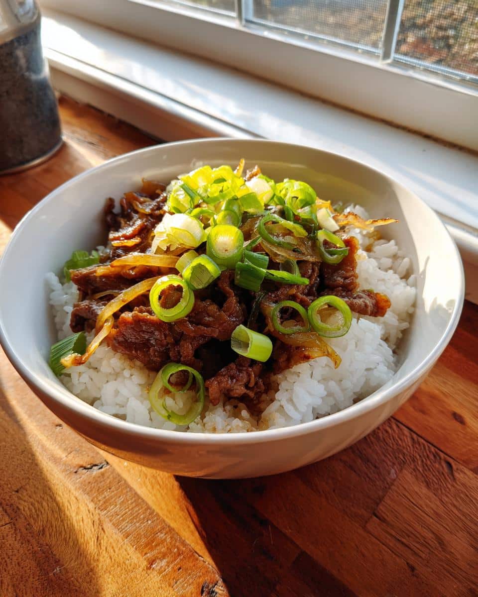 beef gyudon - detail 2