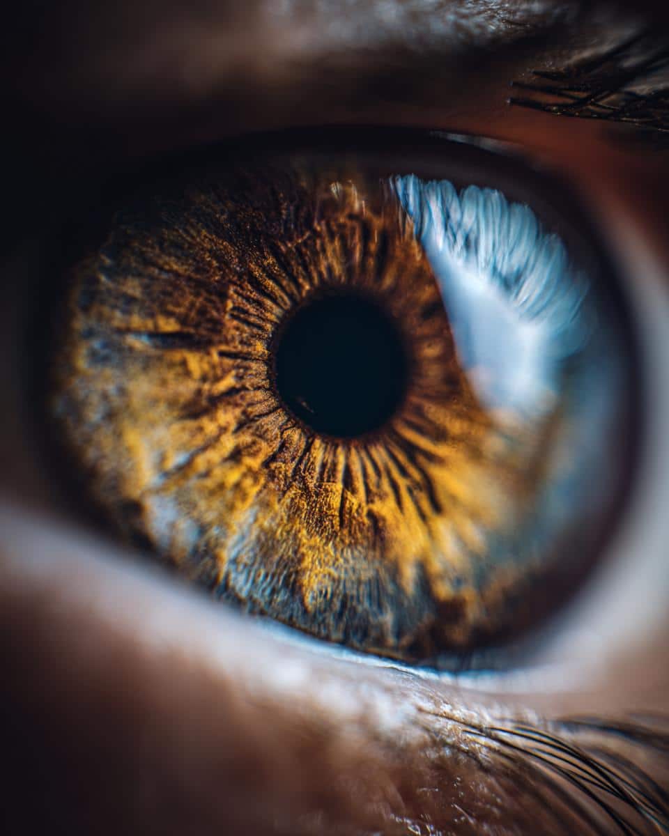 Macro shot of a human eye. Could represent the 'bloom' in 'baby in bloom cookies'.
