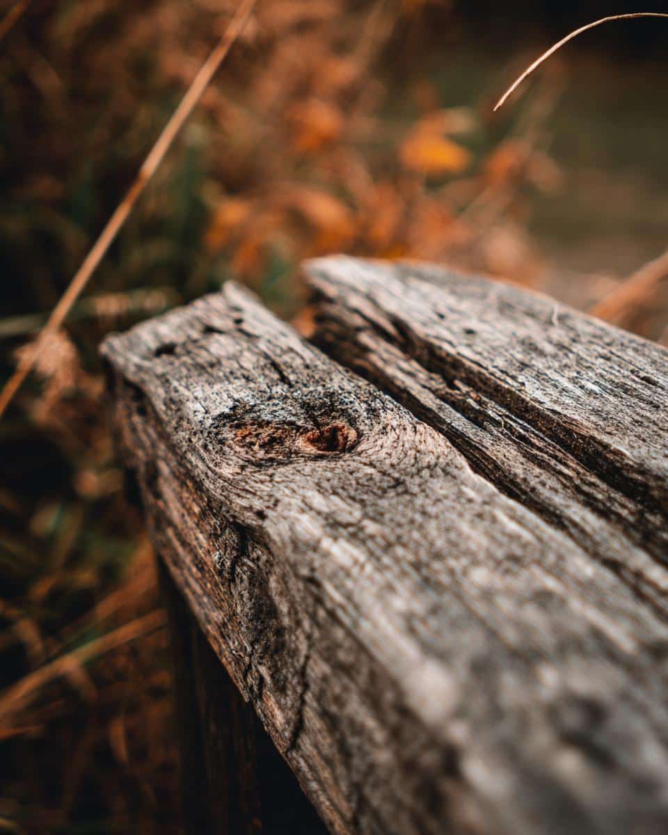 Rustic wooden planks background, potentially for displaying baby in bloom cookies. Warm, natural tones.